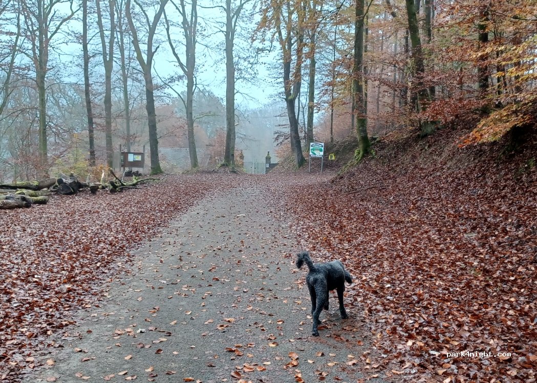 () Fougerolles-Saint-Valbert - — foto