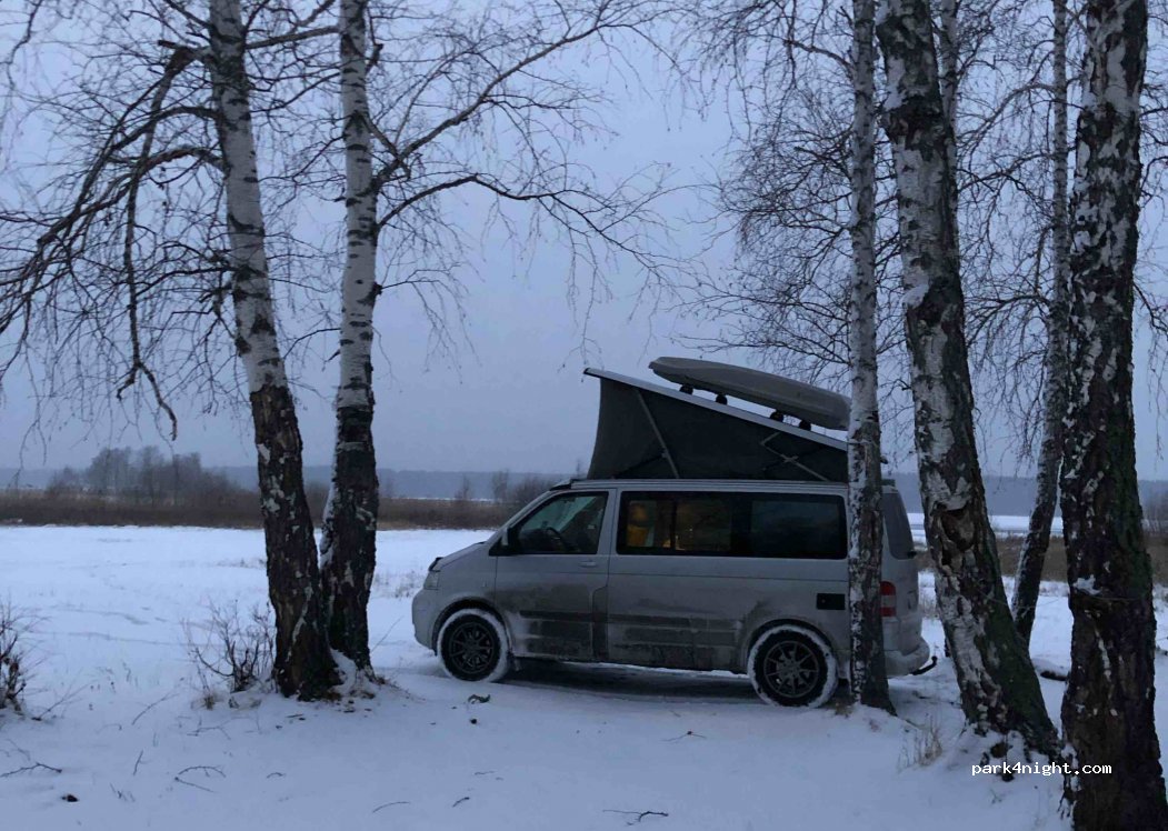 (456419) Sarafanovo - — foto