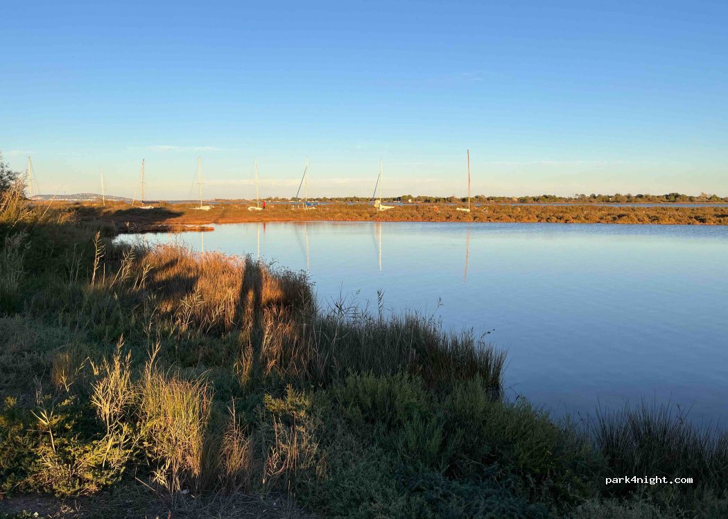 (34340) Marseillan - 7991 Chemin du Boudas — foto 5