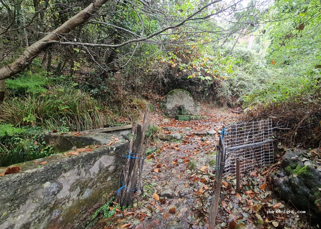 (20243) Isolaccio-di-Fiumorbo - — foto