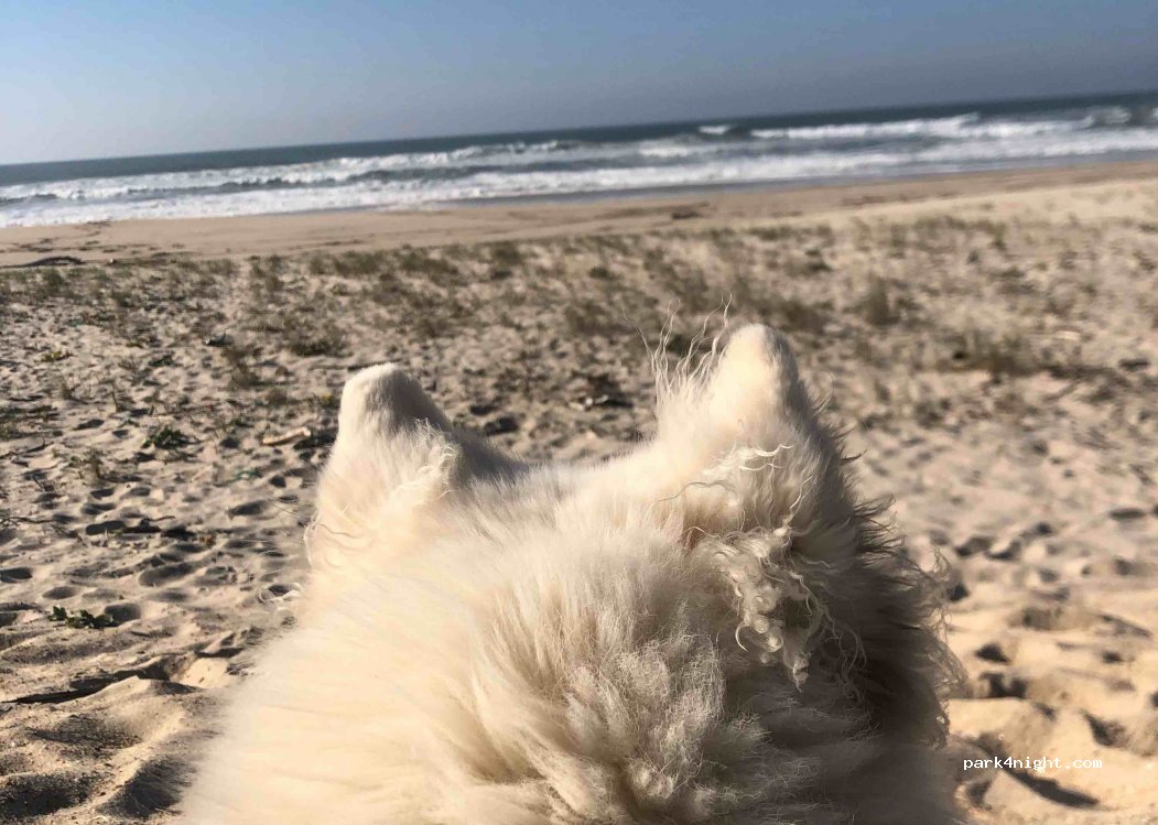 (3090) Marinha das Ondas - — foto 2