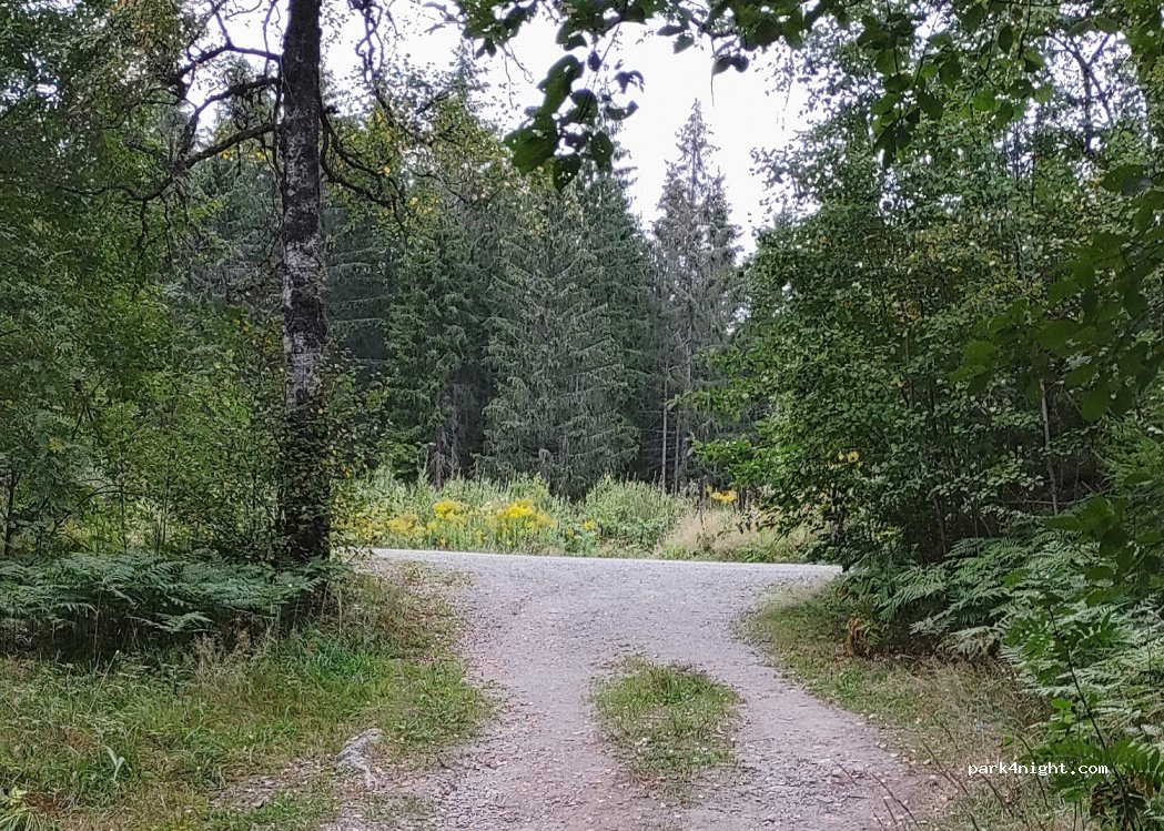 (504 62) Borås - — foto