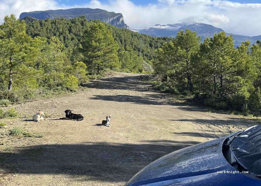 (22363) Belsierre - — foto 4