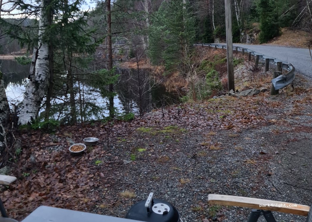 (3960)  - Rørholtveien — foto