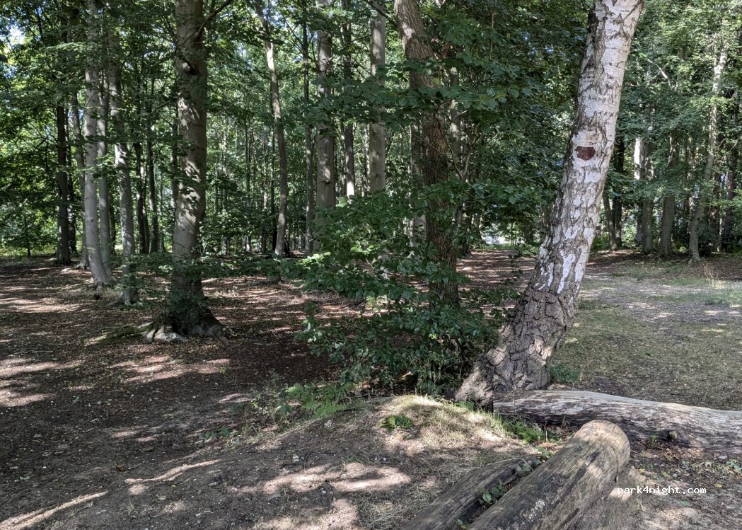 (IP27) Weeting - Harling Drove — foto 3