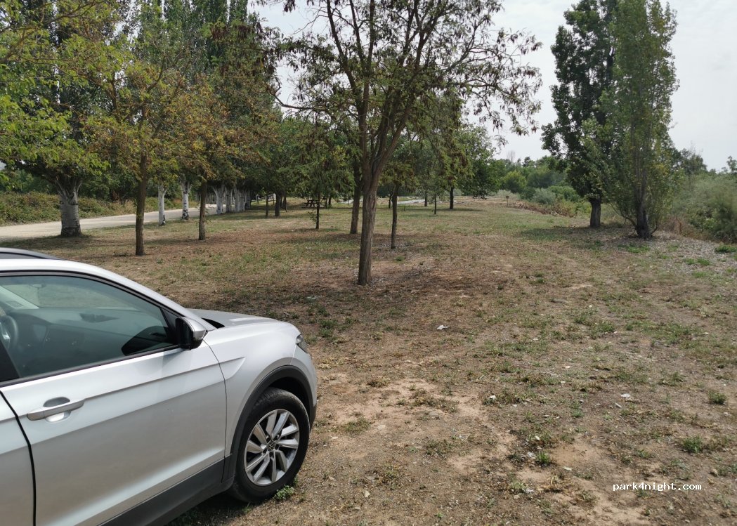 (31570) San Adrián - — foto 2