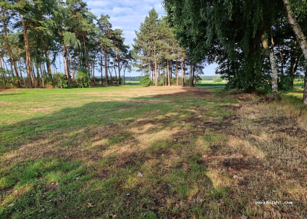 (49439) Steinfeld (Oldenburg) - 7 Lönsweg — foto 2