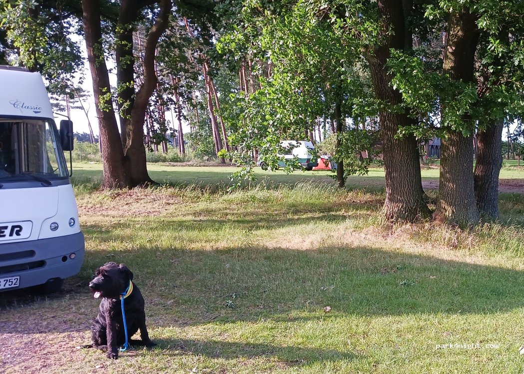 (49439) Steinfeld (Oldenburg) - 7 Lönsweg — foto 5