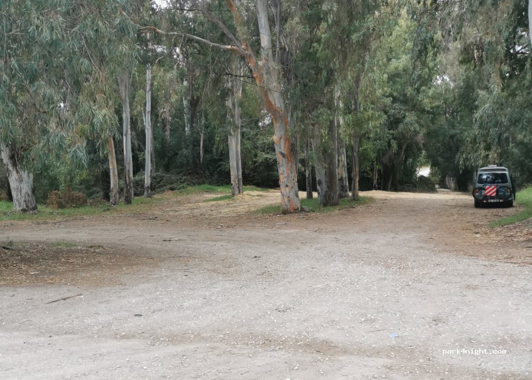 (29670) San Pedro de Alcántara - — foto