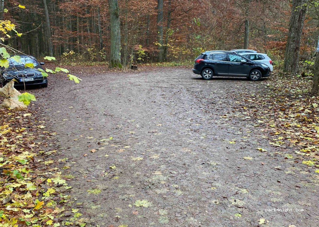 (89134) Blaustein - — foto