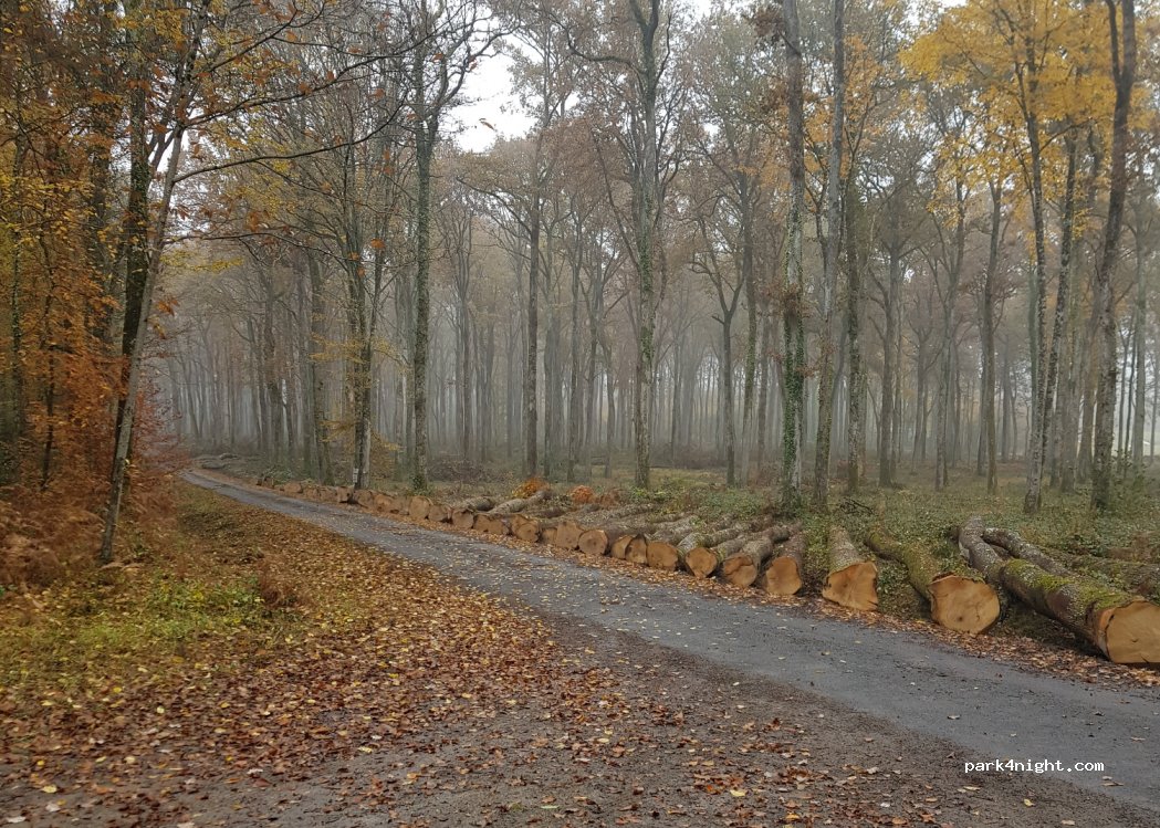 (49160) Longué-Jumelles - — foto