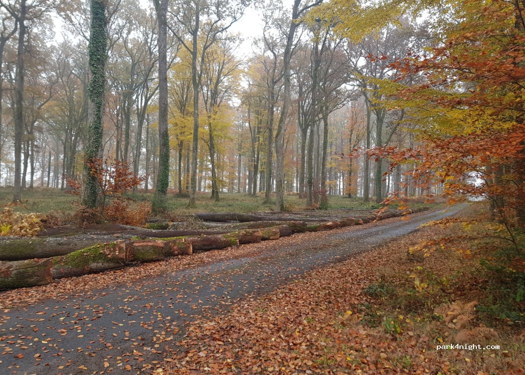 (49160) Longué-Jumelles - — foto 2