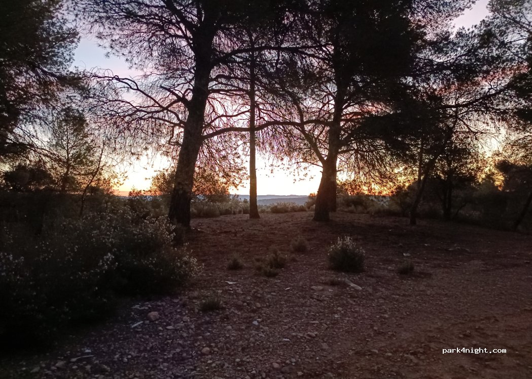 (02640) Almansa - 233 Calle Diseminado — foto 3