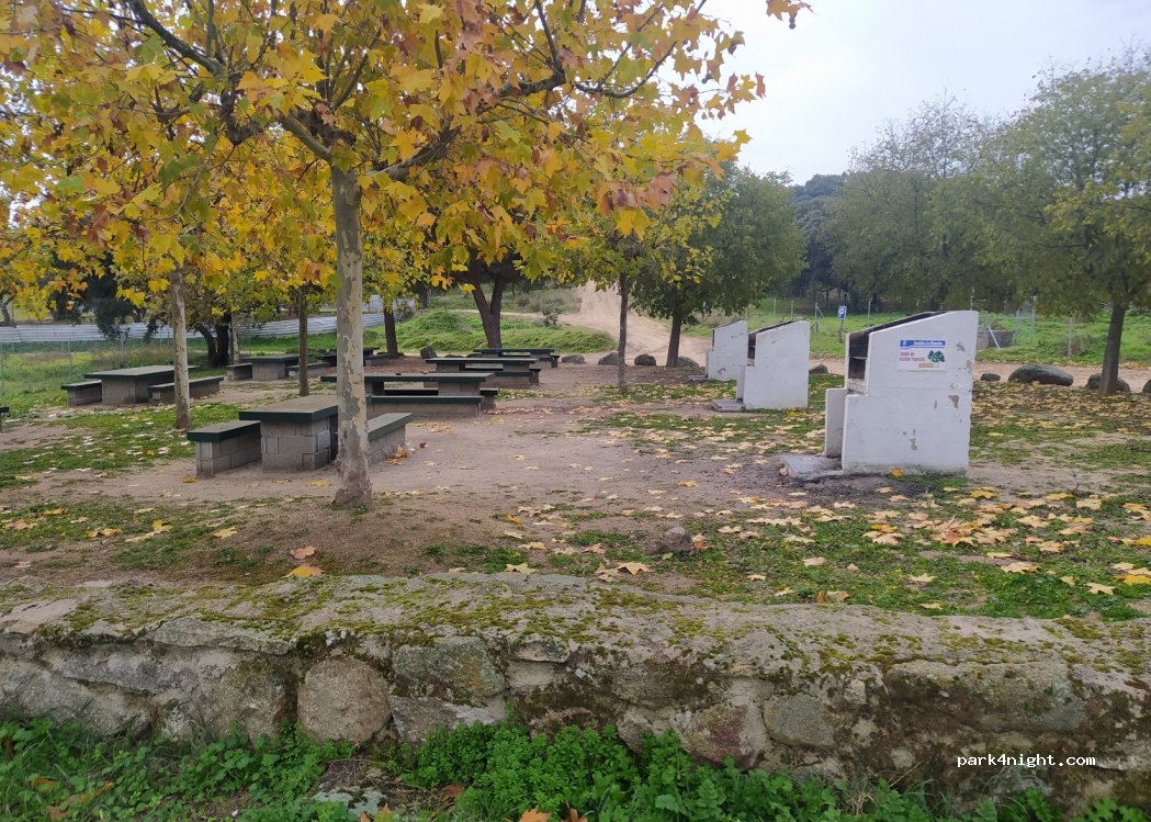(45638) Pepino, Spain - — foto
