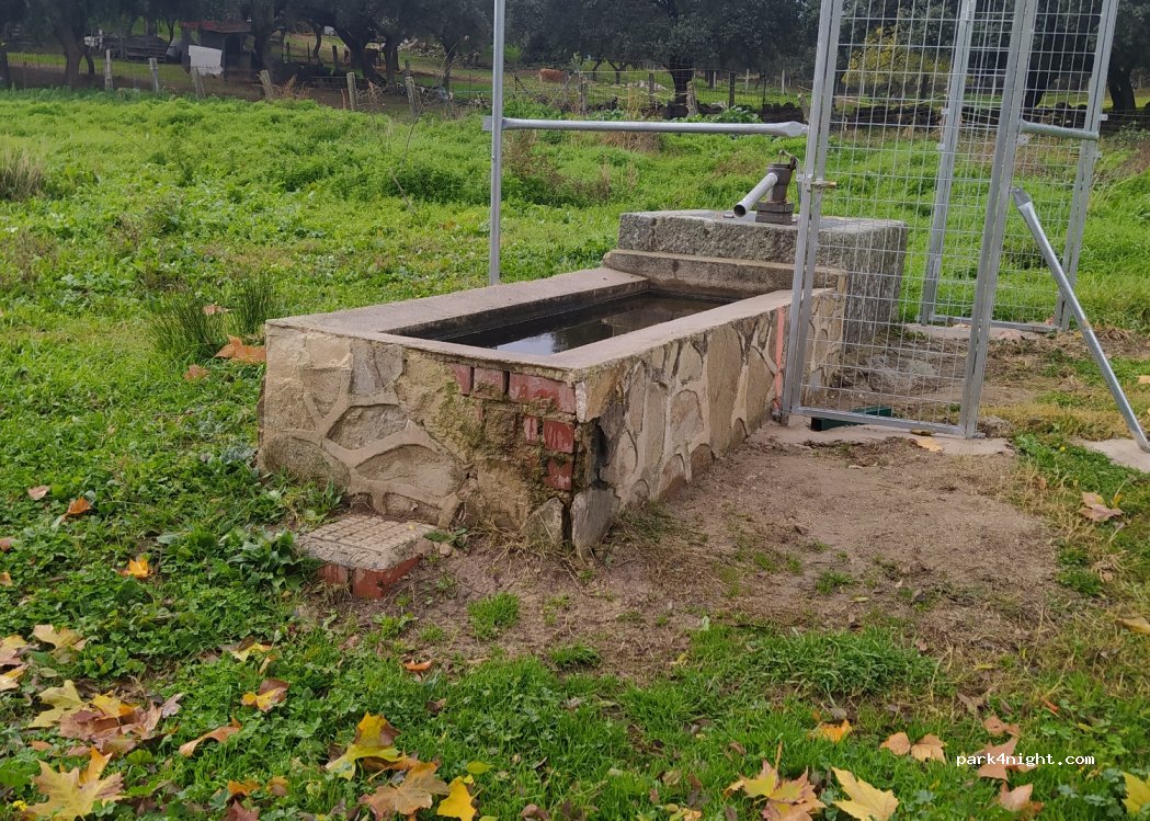 (45638) Pepino, Spain - — foto 2