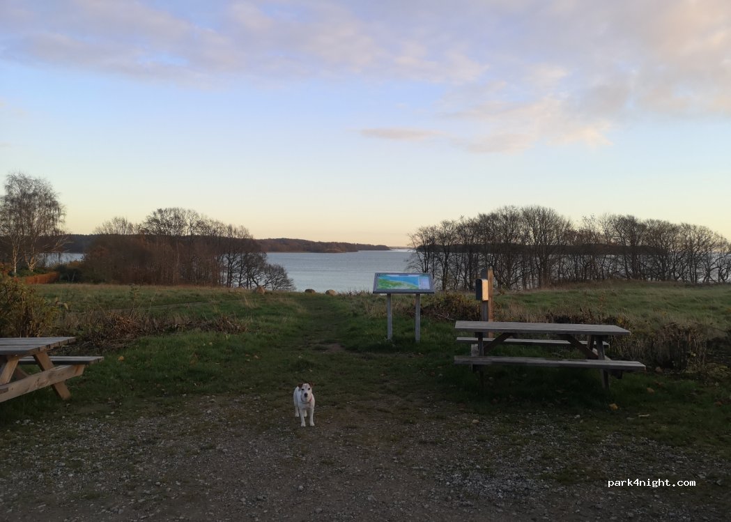 (7000) Fredericia - 63 Hagenørvej — foto 2