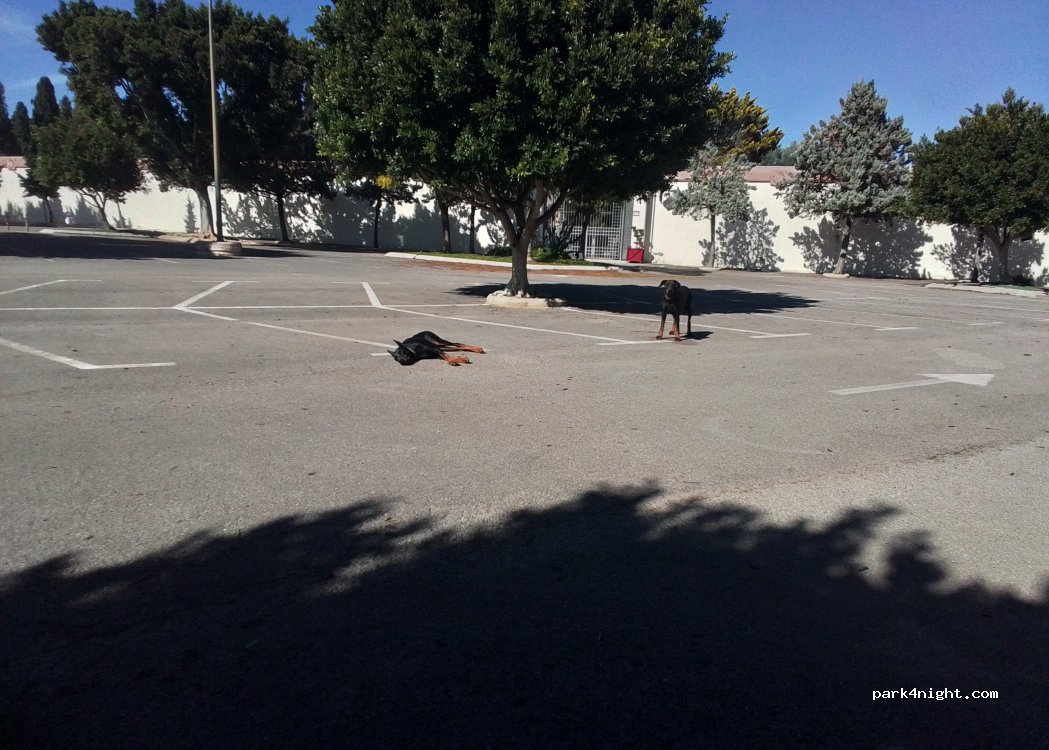 (46600) Alzira - 45 Plaça Poligono 11 — foto 3