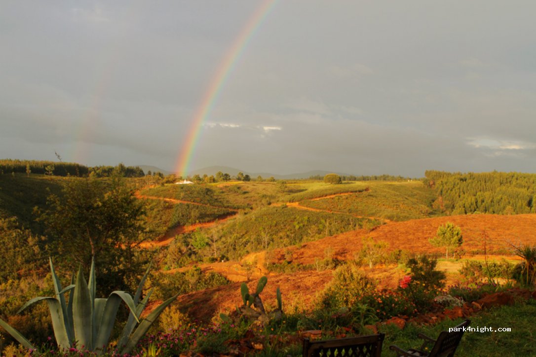 Casas novas da Palmeira — foto