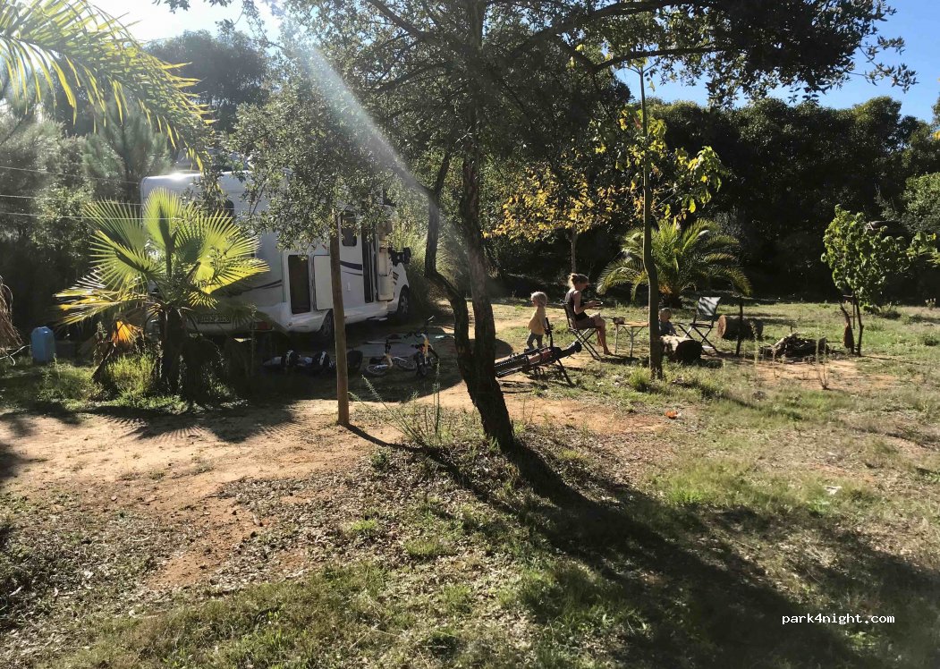 Casas novas da Palmeira — foto 3