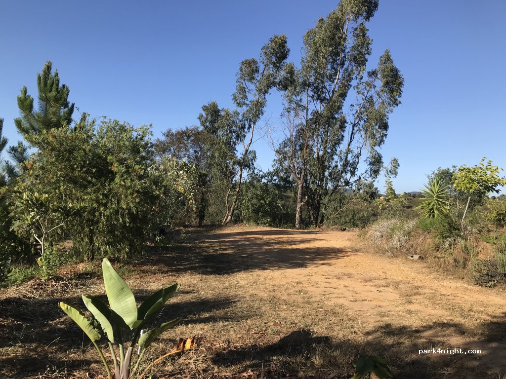 Casas novas da Palmeira — foto 4
