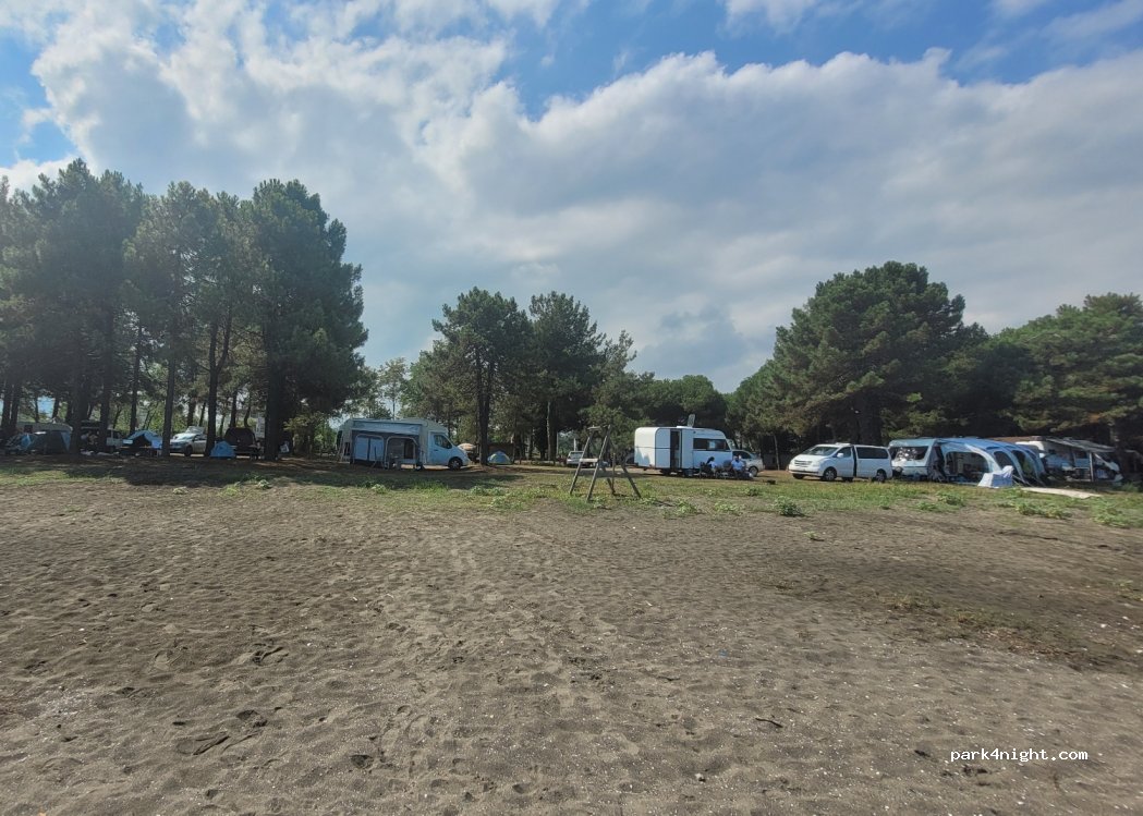 Ünye Çınarsuyu Kamping — foto 2