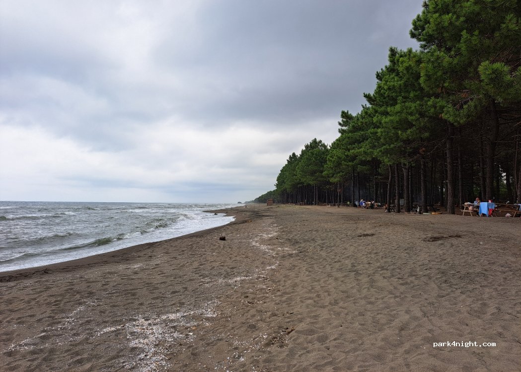 Ünye Çınarsuyu Kamping — foto 4