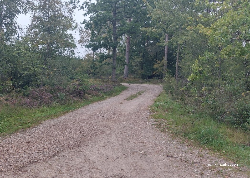 (9982) Ålbæk - 231 Gårdbovej — foto 3