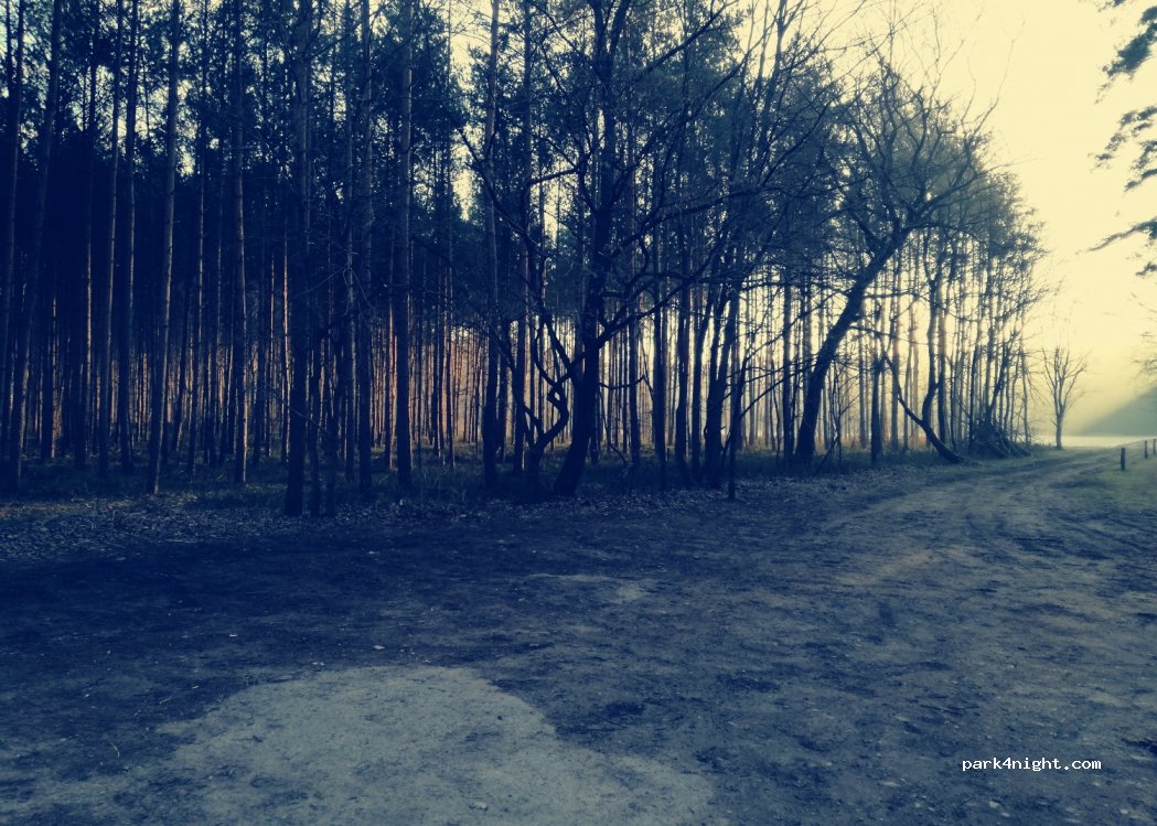 () Burgwedel - — foto