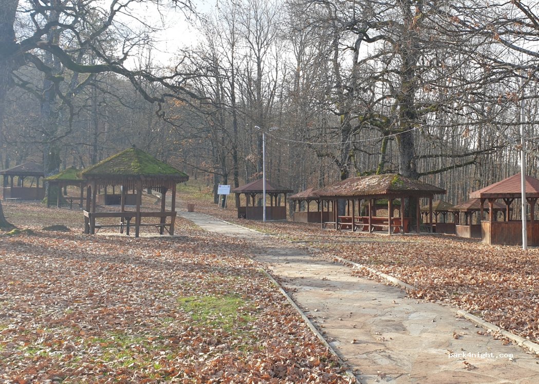 (2157) Bozhenitsa - — foto 3