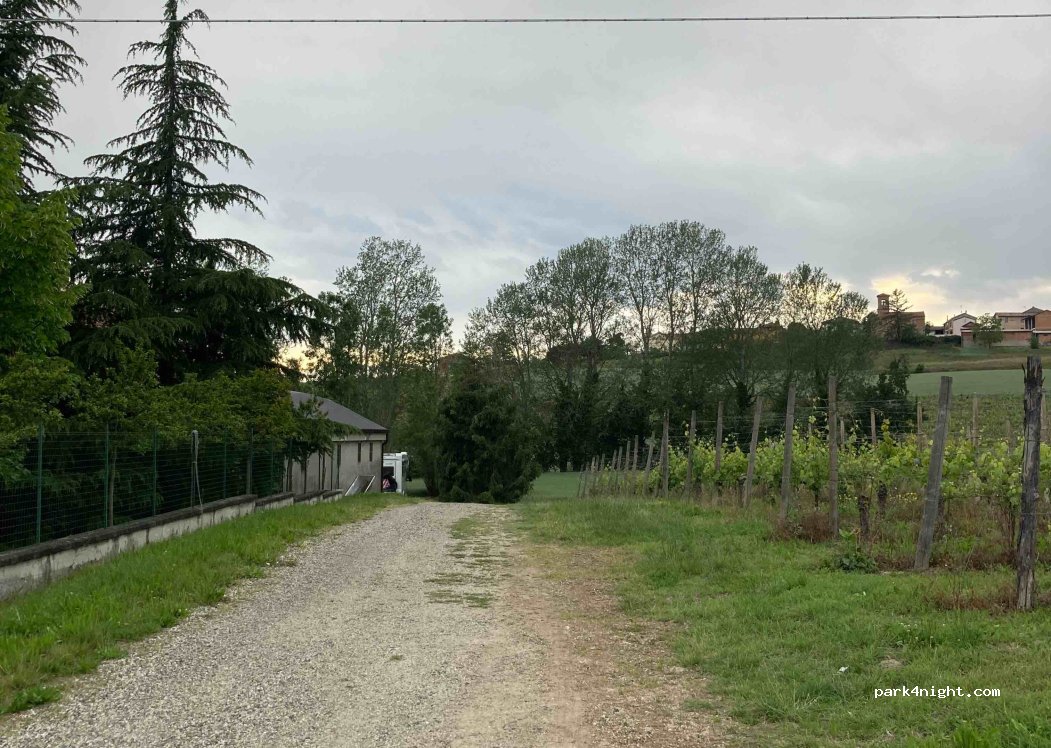 Vini Olivetta azienda agricola — foto 4