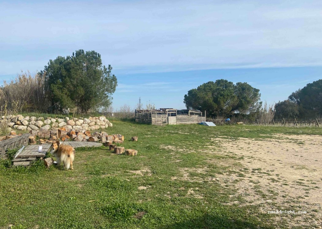 Cava Guilera — foto 2