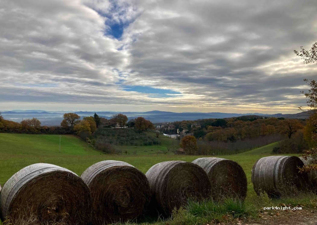 (53042) Tuscany - 10 Strada della Foresta — foto