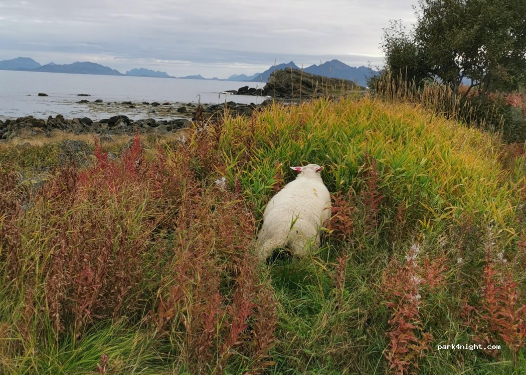 (6216) Geiranger - Primær Fylkesveg 63 — foto