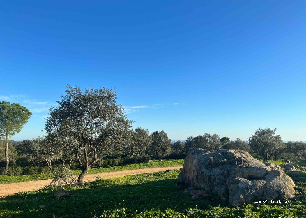 (41890) El Pedrosillo - — foto 4