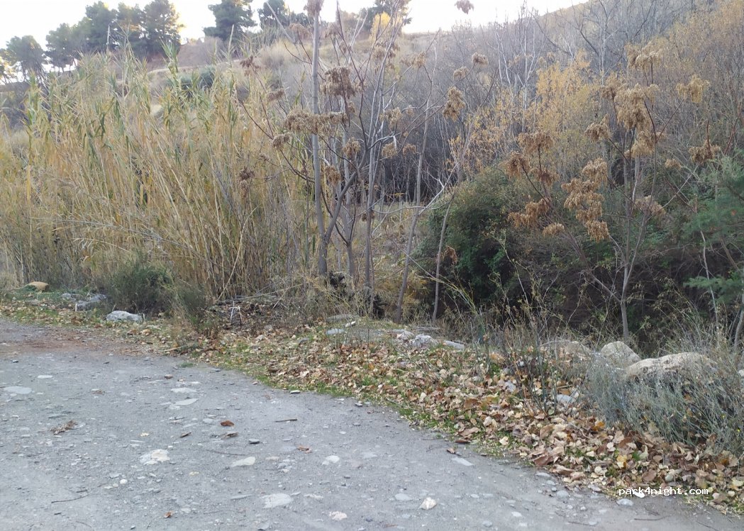 (04470) Laujar de Andarax - 4B Urbanizacion la Mateana — foto 2