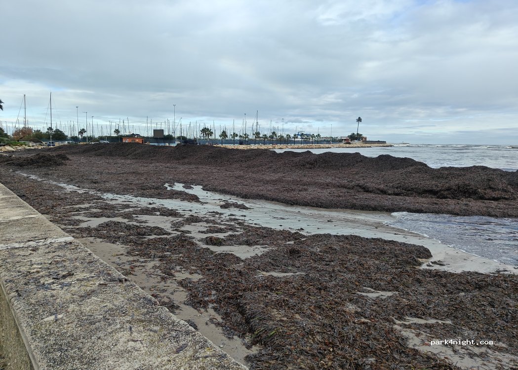 (03700) Dénia - Playa de la Marineta Casiana — foto 5
