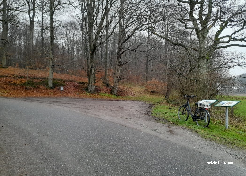 (7080) Børkop - Sønderskovvej — foto