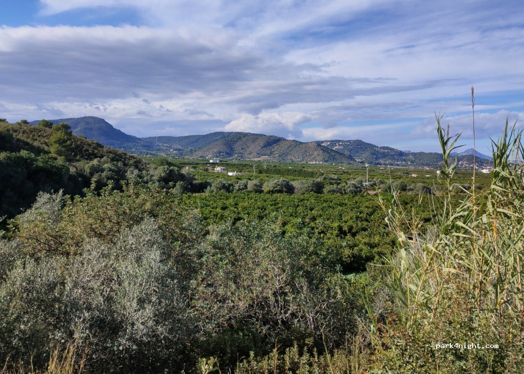 (46780) Oliva - 89A Urbanització Sant Pere — foto 2