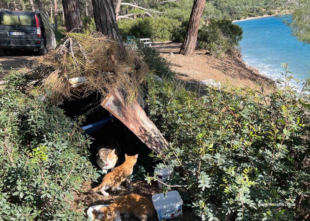 (48200) Muğla - — foto 5