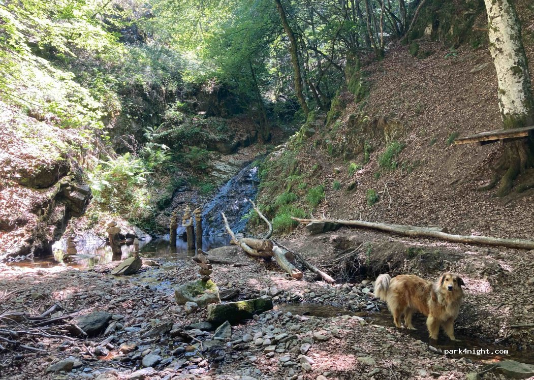 Ferme du Devès — foto 3