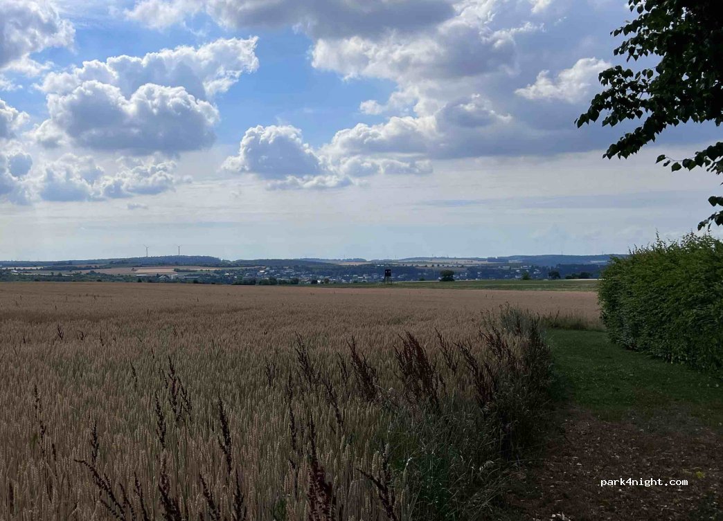 (74722) Buchen - — foto 3