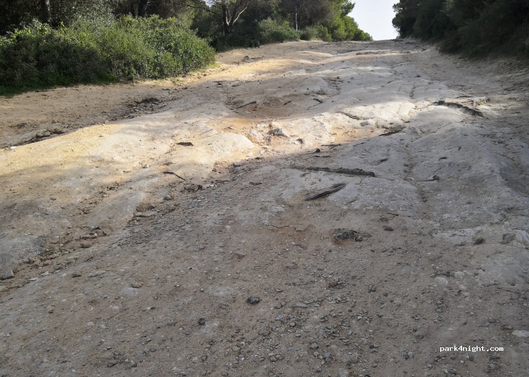 (11130) Chiclana de la Frontera - 1008 Lugar Pago Hoyo de la Espartosa — foto