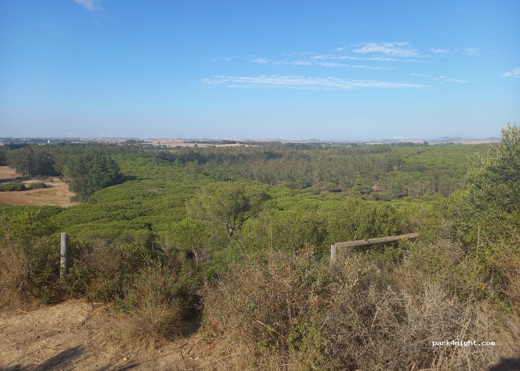 (11130) Chiclana de la Frontera - 1008 Lugar Pago Hoyo de la Espartosa — foto 4