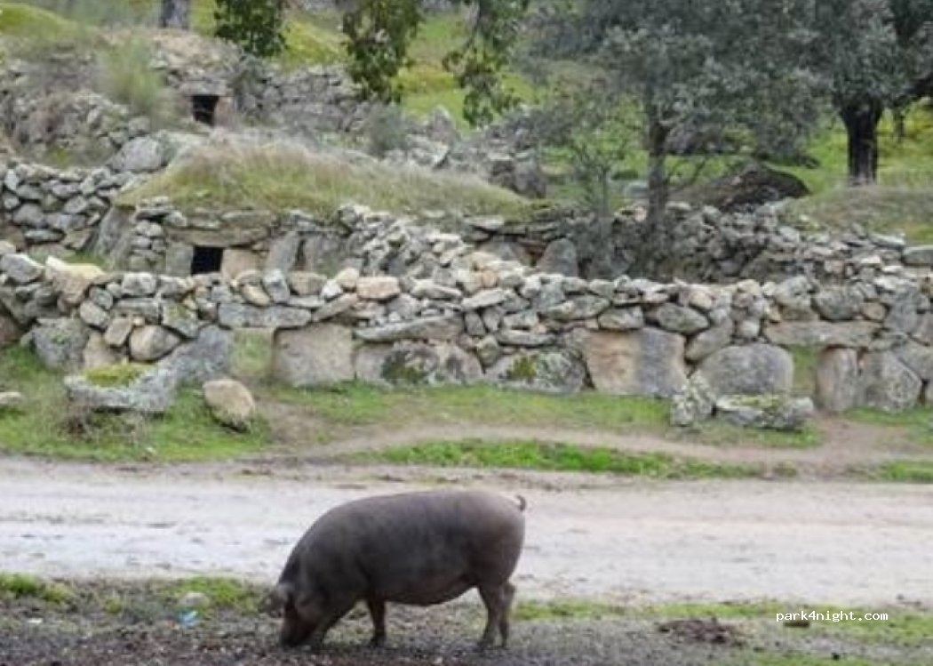 (10183) Torrequemada - 47 Calle Ejido — foto 5