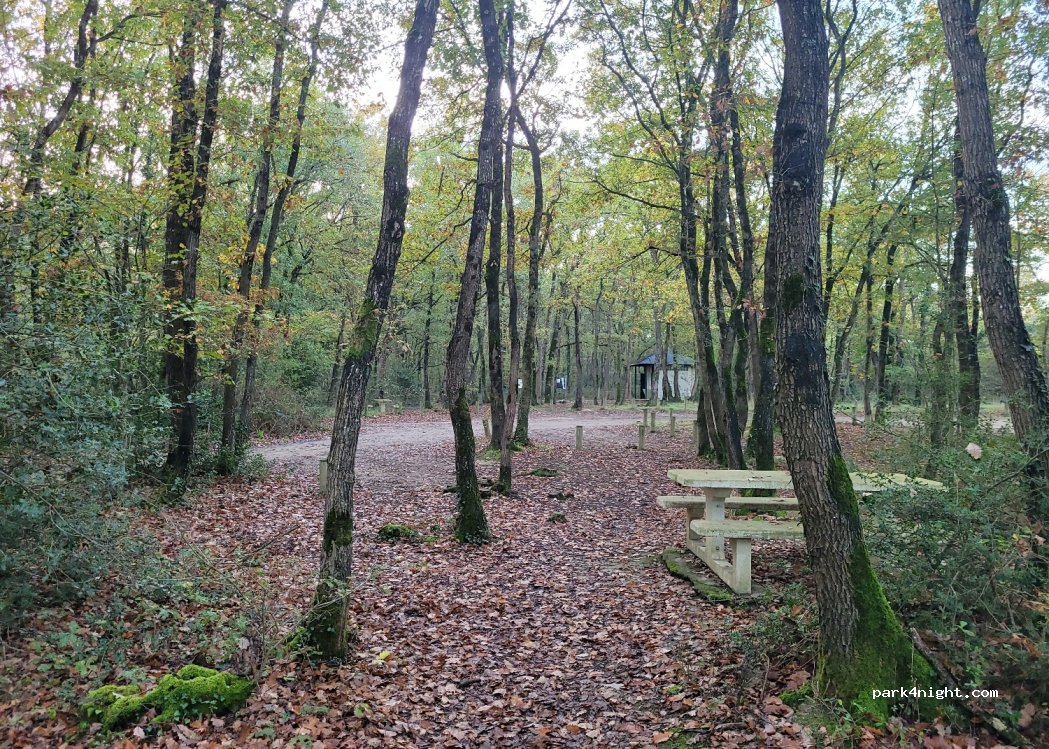 (49170) Saint-Martin-du-Fouilloux - Passage des Lauriers — foto 3