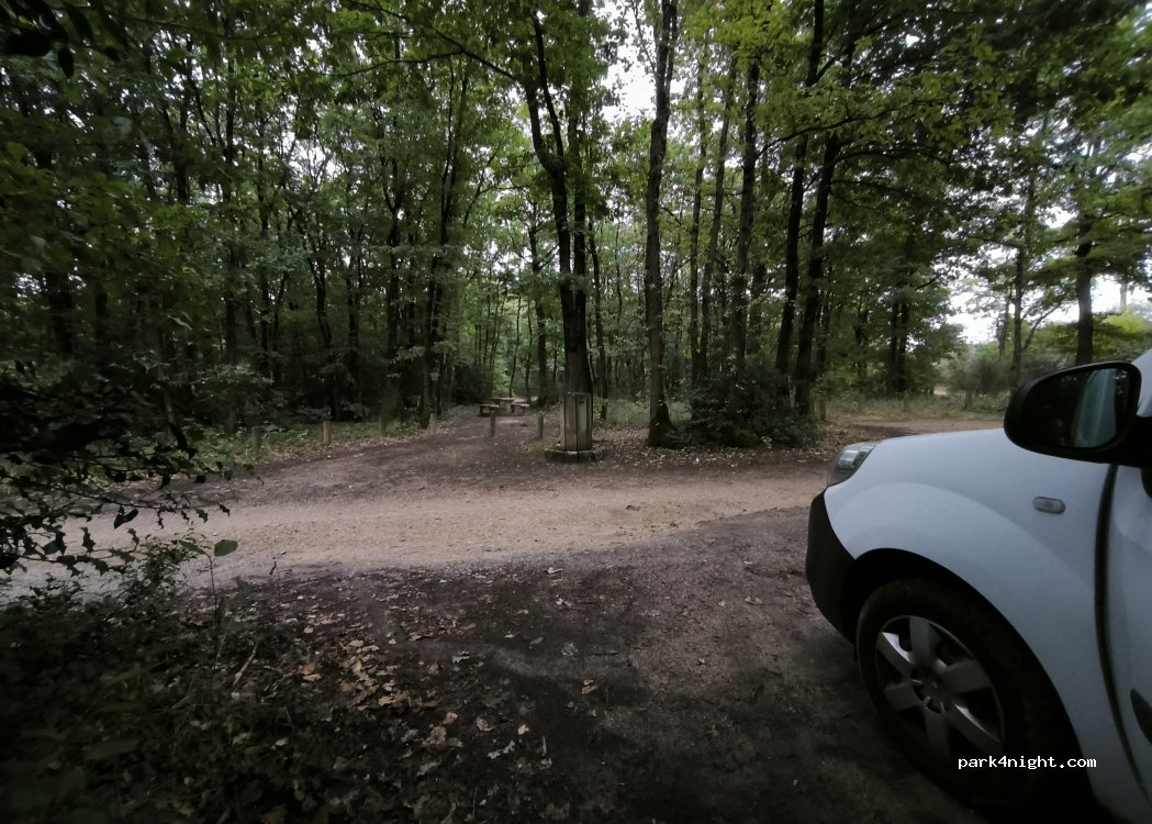 (49170) Saint-Martin-du-Fouilloux - Passage des Lauriers — foto 5