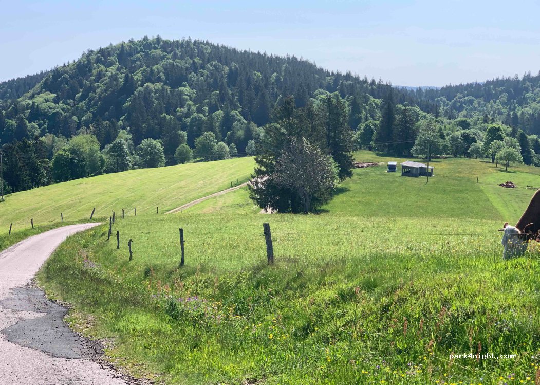 (88290) Saulxures-sur-Moselotte - 1200-1312 Route de Lansau — foto 4