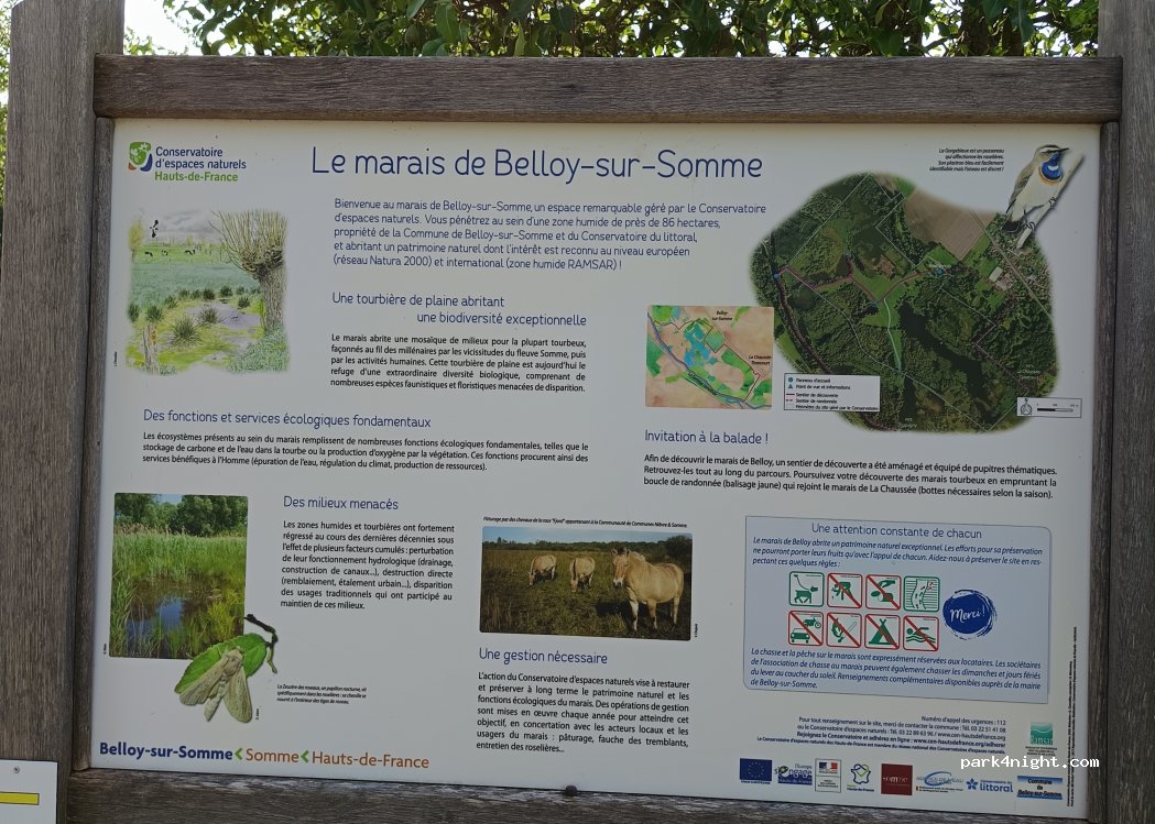 (80310) Belloy-sur-Somme - — foto 3