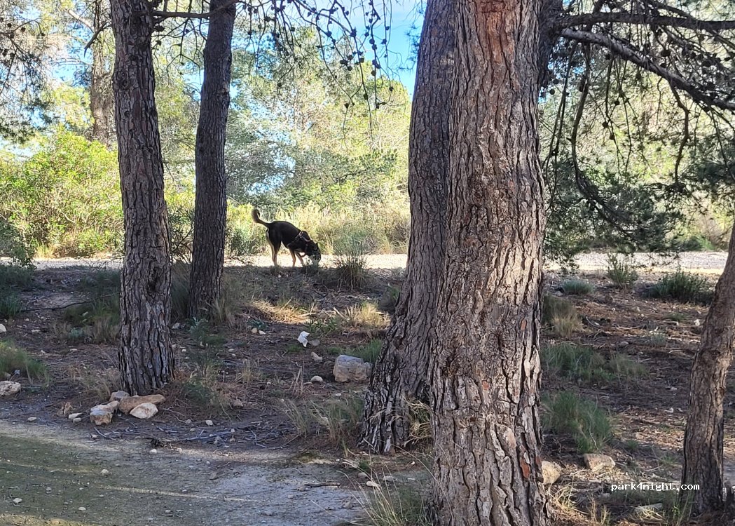 (03569) La Cava - — foto 3