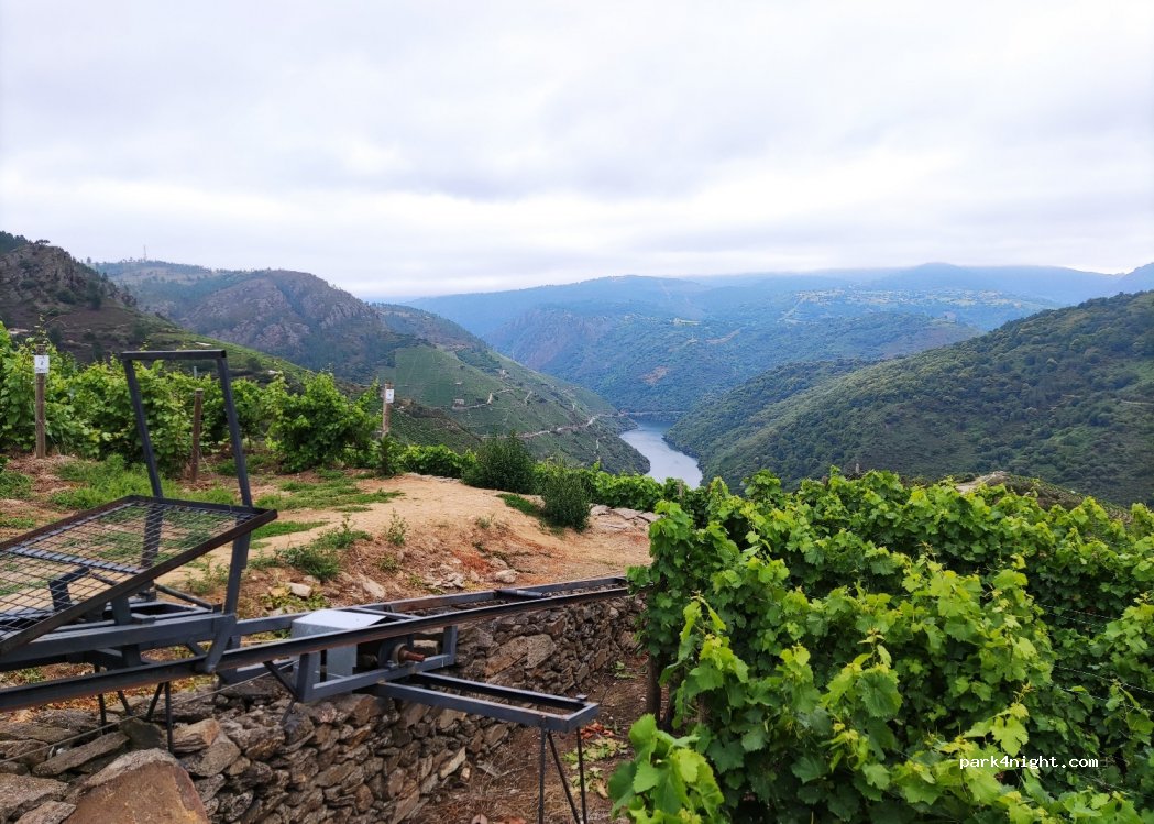 Bodegas Regina Viarum — foto
